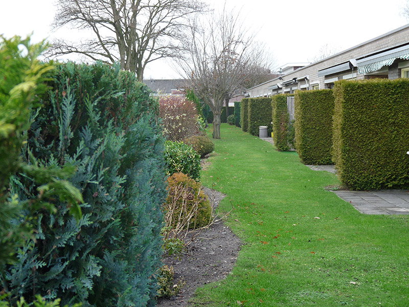 Tuinafscheidingen%2520Groote%2520Bueren