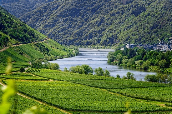 Illustratie: rivier de Moezel in Duitsland